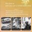 Cats Cooling Beds Accessories Things Cushions Pet Supplies Bed Kitten House Accessory Houses and Habitats Puppy Goods
