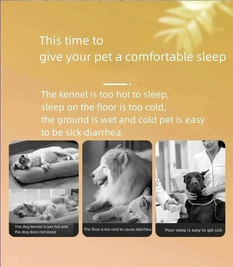 Cats Cooling Beds Accessories Things Cushions Pet Supplies Bed Kitten House Accessory Houses and Habitats Puppy Goods