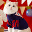 Cute Pet Dog Sweater Winter Dog Warm Clothes Palid Puppy Coat Chihuahua Bichon Yorkie Clothing Sweaters and Hat Set Dog Costume