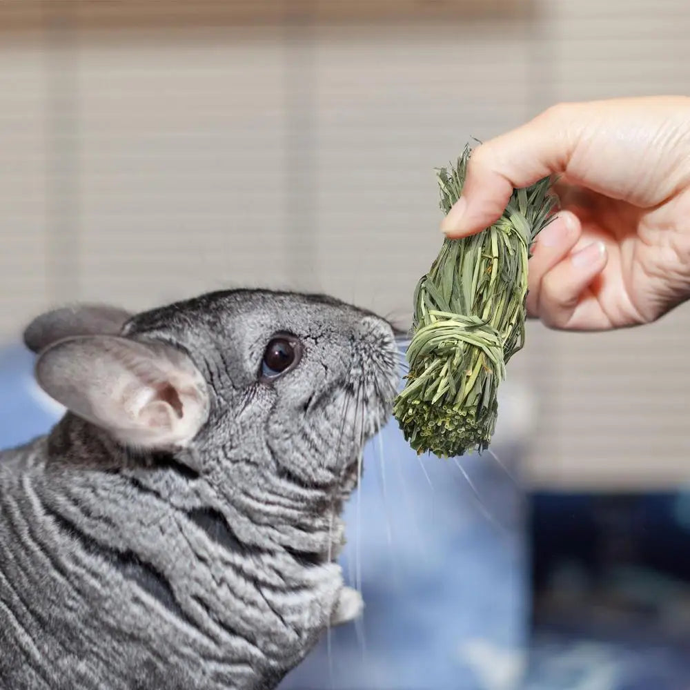 Rabbit Chew Toy Hamster Grass Ball Bite-Resistant Small Animal Treats Gnawing Fun For Rabbit Squirrel Hamster Chinchilla Guinea