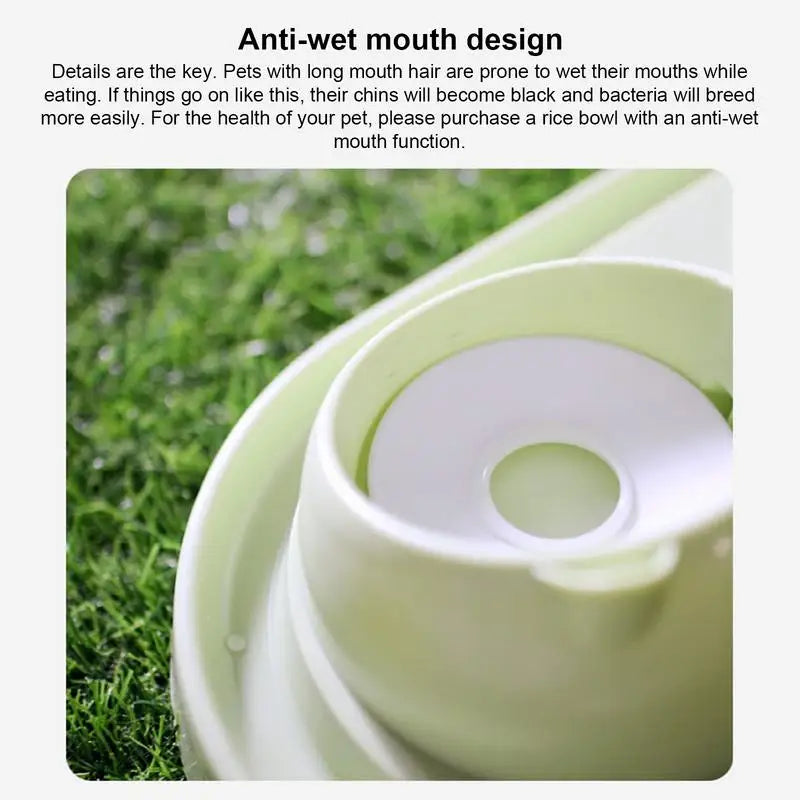 Gravity Cat Feeder And Water Dispenser Set 15Tilted Pets Water And Food Bowl Set Curved Bowl Mouth Raised Cat Bowls Pet Food