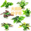 Artificial Underwater Grass Aquarium Fish Tank Simulation Decoration Aquarium Backgrounds Plants Water Grass Accessories New