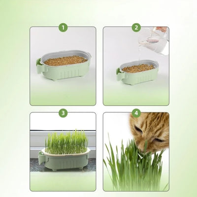Good Quality Soilless hydroponic growing cup Lazy planting cup Hydroponic cultivation
