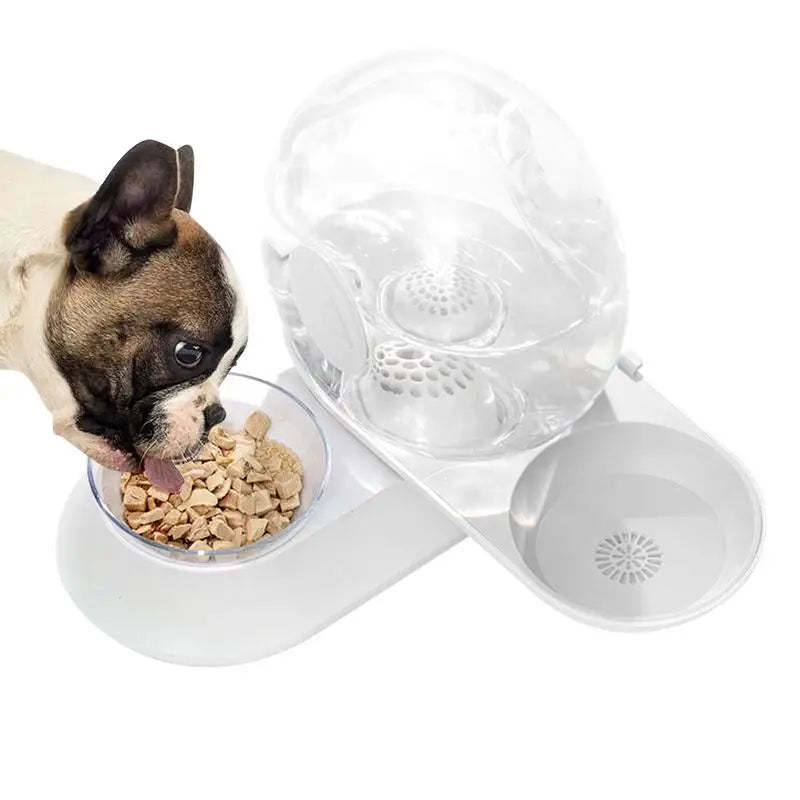 Cat Dog Water Dispenser Cat Feeder Water Bowl Container Automatic Snail Shape Drinking Fountain Cat Feeder Water Bowl Feeder