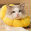 Elizabethan Collar For Cats Adjustable Cotton Sunflower Shape Collar Protective Collar For Small Cats & Dogs Cute Breathable Eli