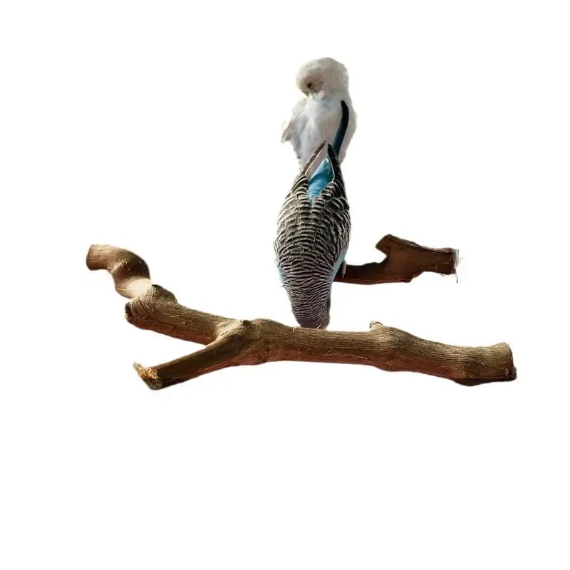 Parrot Perch 5PCS Natural Wooden Cockatiel Perch Exercise Training Branches Parrot Stand Cage Accessories For Small Or Medium