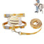 Dog Harness with Strap Pet Walking Strap Set Dog Walking Tool with Adjustable Buckles for Traveling Picnic Going Out Camping