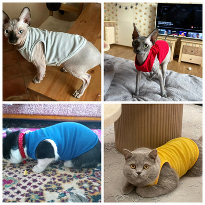 XS-XXL Summer Dog Clothes For Small Dogs Chihuahua Cute Summer Puppy T-Shirt Spring Vests For Dogs Cats Pet Products