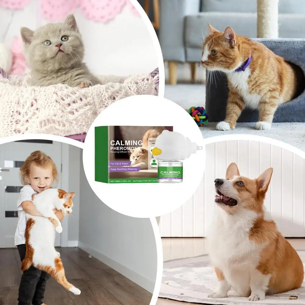 Cat Diffuser Kitten Relaxing Soothing Calming Kit Relief Intelligent Calming Pheromone Diffuser Calm Relaxing Pheromone