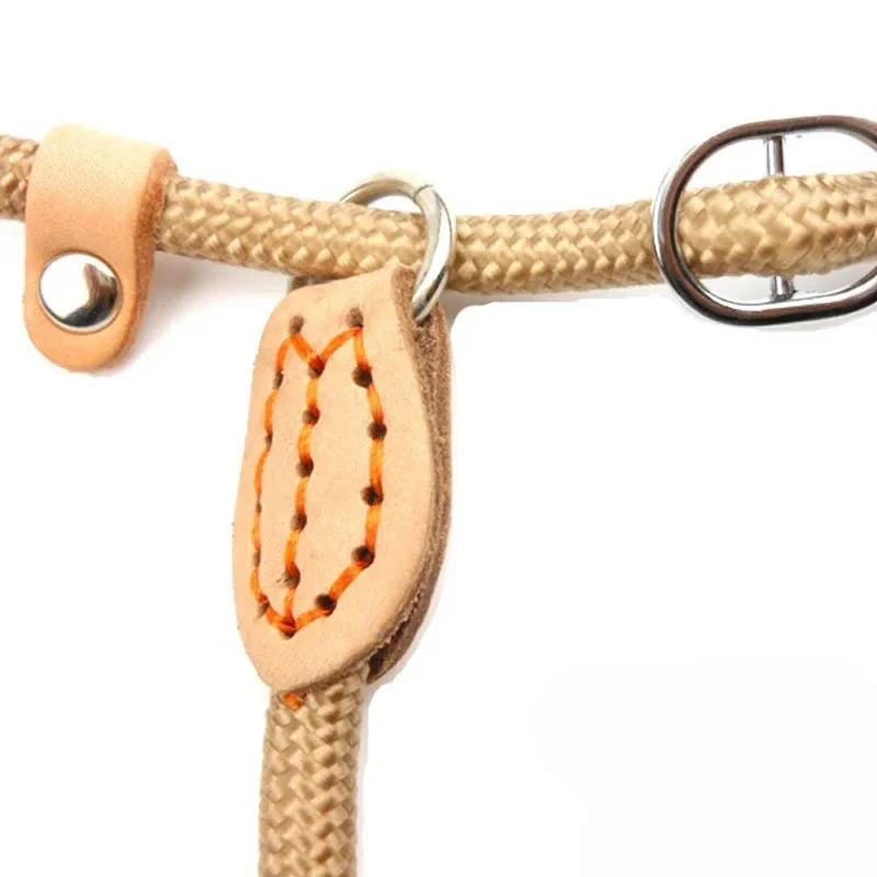 Dog Leash Slip Rope Lead Leash Heavy Duty Braided Rope Adjustable Loop Collar Training Leashes for Small Medium Large Dogs 180cm