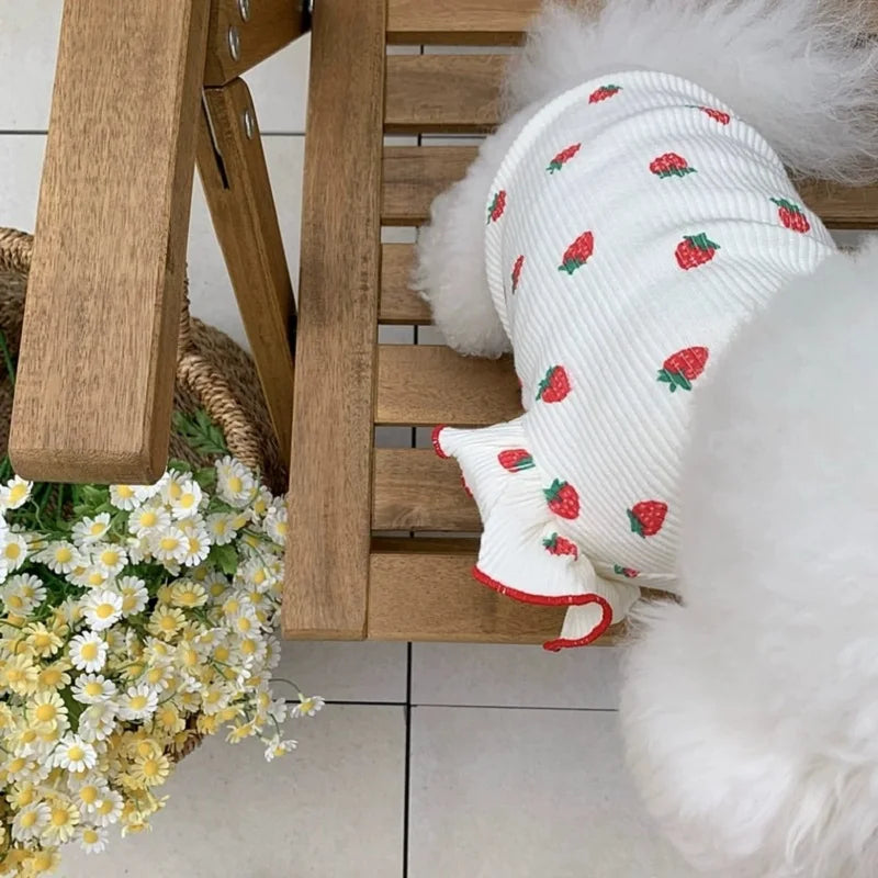 Puppy 2024 Clothes Cotton Girl Dog Undershirt Summer Dog Cooling Vest Dog Strawberry Shirt Chihuahua Bichon Apparel Dog Clothing