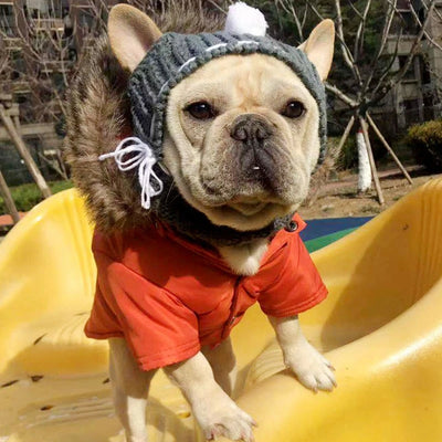 Solid Wool Knitting Pet Dog Hat New Year Protective Head Wear French Bulldog Kitten Accessories Versatile Outdoor Pet York Scarf