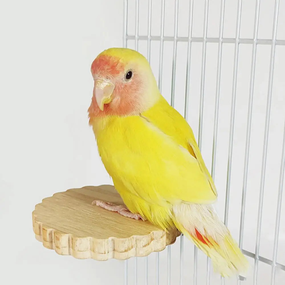 Bird Perches for Cage Natural Wooden Platform Stand for Parrot Bird Perch Stand Toy Stand Playground Budgie Toys Parakeet Cage