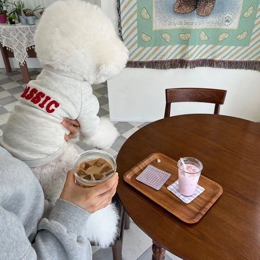 Winter Dog Coat Pet Dog Warm Clothes Puppy Hoodies Chihuahua French Bulldog Bichon Pug Clothing Solid Letter Warm Dog Sweatshirt