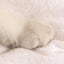 Pet  Warm Bed Cave Nest Mushroom Shape Cat Winter Tent Warming Puppy House Cozy Kitten Sleeping Tent Cave Beds For Small Pets
