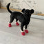 4pcs Winter Dog Shoes Waterproof Shoes For Medium Dogs Winter Boots For Small Dogs Warm Chihuahua Teeth Puppy Socks Yorkshire