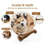 Indestructible Dog Chew Toys for Aggressive Chewers Real Beef Flavor Durable Dog Teething Chew Toy Bone for Large Small Puppies