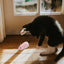 Cat Mice Toys Wind up Indoor Cat Plush Mouse Hunting Toy Plush Mice Pet Toys Clockwork Mouse Running Toy Realistic Mouse