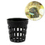 Fishtank Aquatic Plant Planting Basket Aquatic Plant Tissue Culture Pot Plastic Aquarium Plant Flower Pot Landscaping Decoration