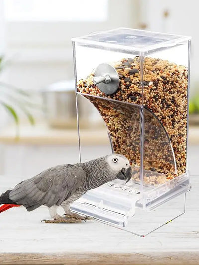 Bird Feeders Parakeet Feeders For Bird Cage Automatic Parrot Feeder Drinker Clear Acrylic Splash-Proof Bird Feeder