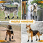 Dog Booties Puppy Booties For Outdoor 4PCS Waterproof Dog Booties Paw Protector For Summer Hot Pavement Winter Snowy Day Outdoor