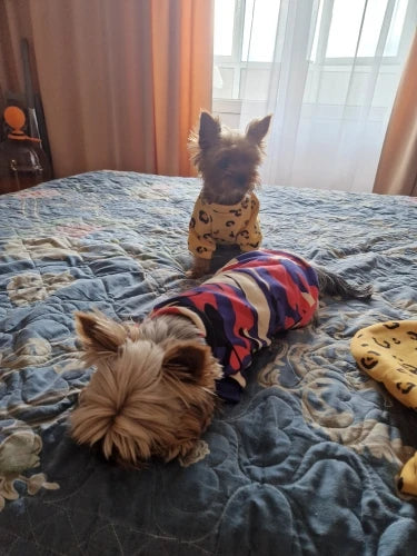Xs Dog Clothes for Small Dogs Girl Puppy Clothing for Small Dogs Boy Cat Jacket Personalise Pet Shirts for Pug Chihuahua Bulldog