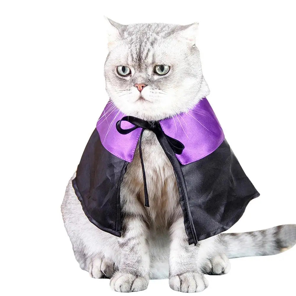 Pet Dog Cat Witch Hat Bandana Cosplay Prop Halloween Fancy Dress Costume Outfit Cat Costumes Photo Props Headwear