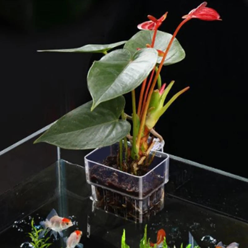Aquarium Planting Basket Hydroponic Support Hangable Fish Tank Water Grass Cup Aquatic Plant Holder Wall Hanging Flower Pots