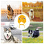 Dog Beanie Hat Windproof Medium Dog Warm Hat With Dreadlocks Dog Apparel For Outdoor Exercising Sleeping Walking Jogging