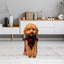 Fleece Dog Vest Thick Dog Winter Coat Polar Fleece Warm Coat Vest Clothes For Puppy Small Medium Large Dogs Dog Lovers