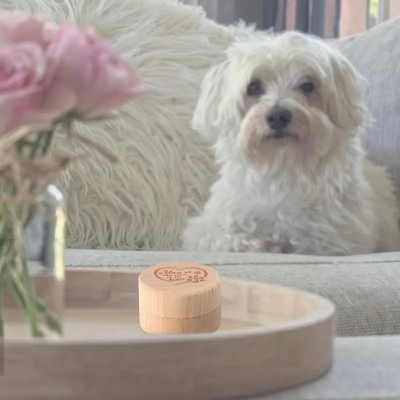 Pet Hair Keepsake Box Dog Cat Hair Ashes Container Pet Storage Box For Dog And Cat Ashes Wooden Engraved Dog Tooth Box Dog Ashes