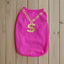2pc Quick Dry Dog Shirt, Mesh Summer Dog Clothes Dollar Vest for Small Dogs,Sun-Protection Sleeveless Shirts for Dog Puppy Vest