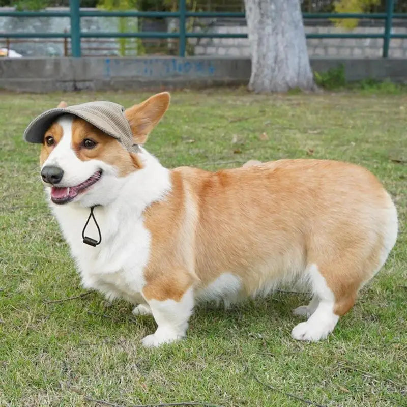 Dog Hat with Ear Holes Pet Dog Sport Cat Fashionable Travel Hat Breathable Pet Outdoor Sunbonnet UV Protection for Outdoor All