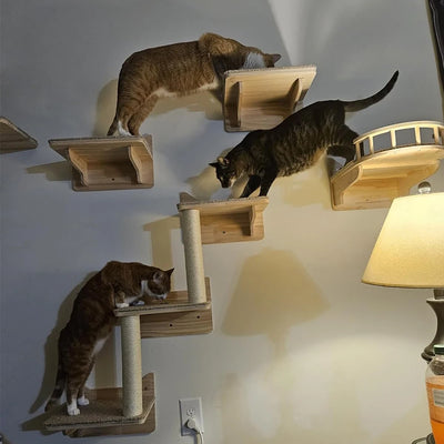 Cat Tree Wall Mounted Cat Climbing Wooden Shelves Cat Hammock and Scratching Post Cat Wall Indoor Furniture for Perch and Rest