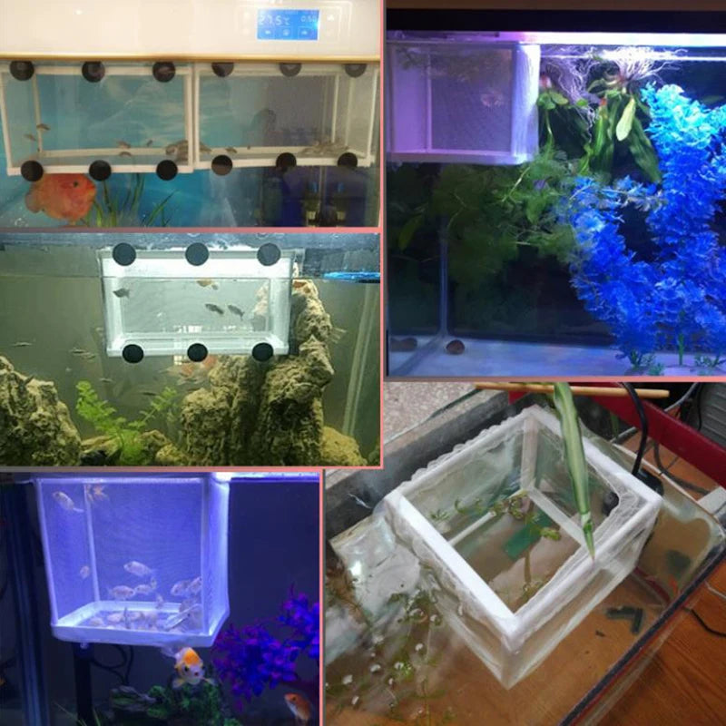Plastic Aquarium Fish Breeding Isolation Box Fish Tank Aquarium Breeder Hatching Incubator Fish Tanks Isolator Accessories New