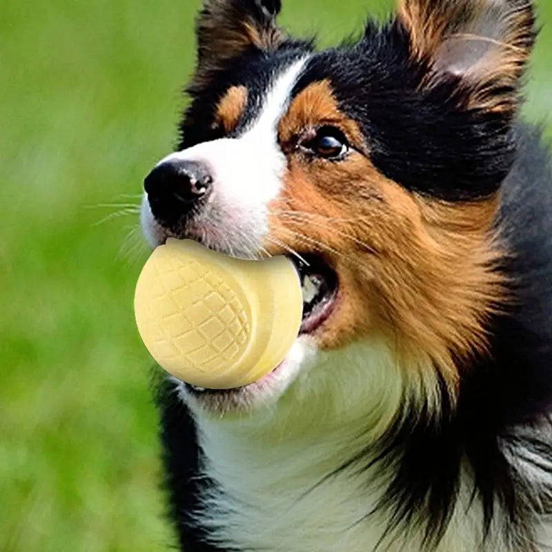 Pet Tennis Ball Dog Ball Toy Puppy Chewing Interactive Biting Toy Durable Bite Resistant Puppy Training Toys Outdoor Playing toy