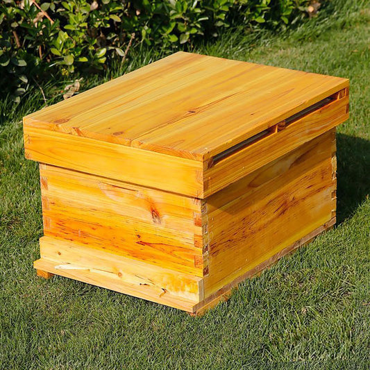 10 Frame Bee Hive, Complete Beehive Kit Beeswax Coated Beehive Include Frames, Bee Hive Boxes Starter Kit for Bee Keekeepers