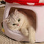 Pet  Warm Bed Cave Nest Mushroom Shape Cat Winter Tent Warming Puppy House Cozy Kitten Sleeping Tent Cave Beds For Small Pets