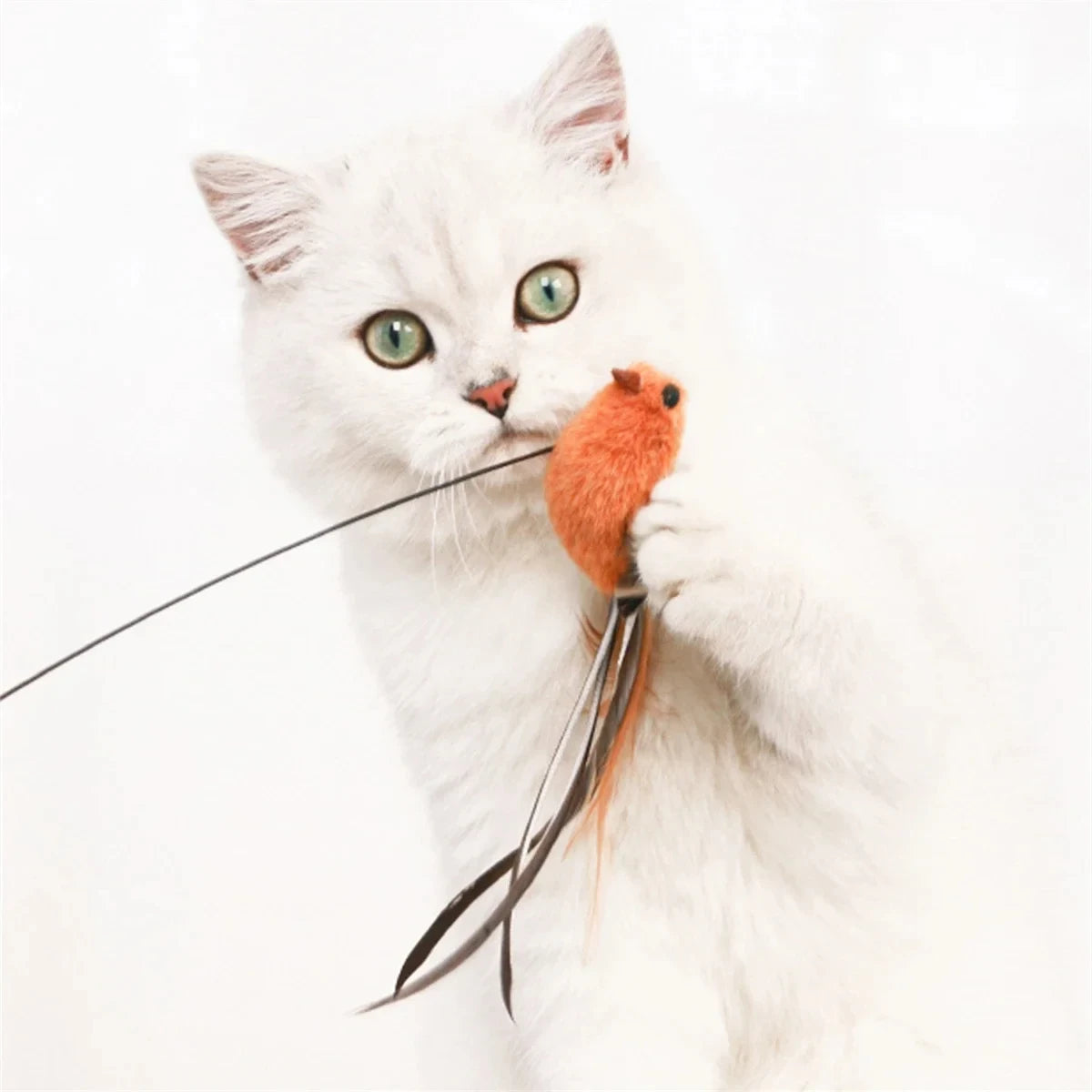 Simulated Bird Cat Toys Upgraded Epoxy Sucker Steel Wire Long Rod Feather Cat Teasing Stick Cat Self Hi No Harmful Ingredients