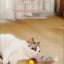 New Smart Cat Dog Toys Automatic Rolling Ball Fake Tail Rechargeable Electric Cat Bite Resistant Interactive Toy Pet Products