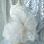 Dog Dress for Small Dogs Prom Party Princess Wedding Dresses Luxury Design Girl Dog Clothes Pomeranian Puppy Cat Costume Outfits
