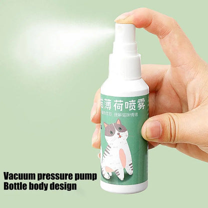 Spray Catnip Natural Maximum Potency Cat Nip Bundle High Potency Catnip 50ml Safe Non-Addictive Catnip Feline And Cat Lover