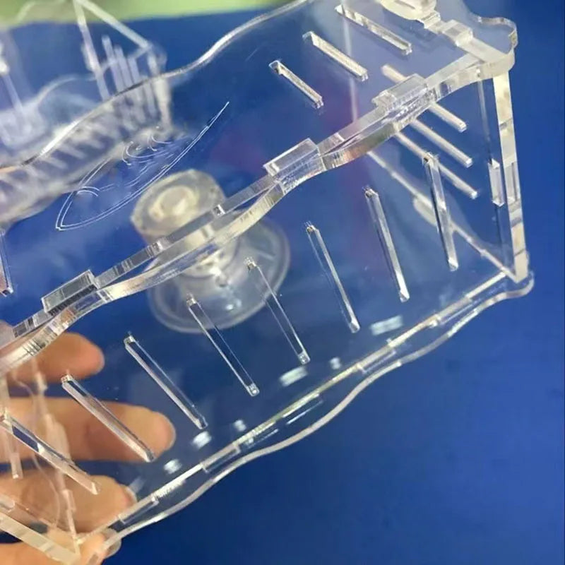 Hanging Fish Tank Crystal Acrylic Pot Polka Aquarium Decoration Water Planting Cylinder Cup Feeding Accessories with SuctionCup