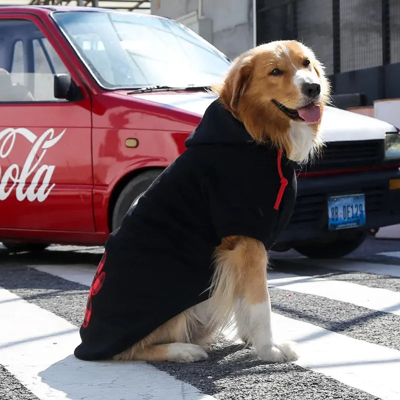 Warm Cotton Pet Dog Clothes Letter Dog Hoodie Design Cool Dog Pullover For Puppy Small Medium Dogs Chihuahua Coats
