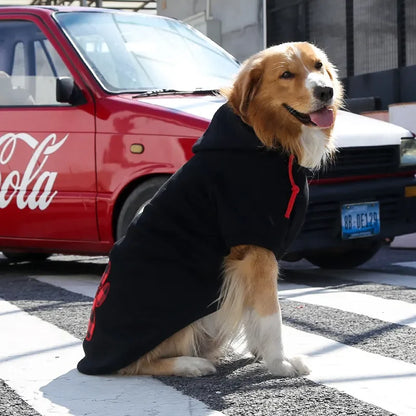 Warm Cotton Pet Dog Clothes Letter Dog Hoodie Design Cool Dog Pullover For Puppy Small Medium Dogs Chihuahua Coats