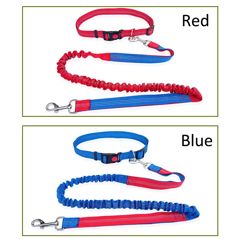 Dog Leash Supplies Free Hands Classic Harness Collar Big Pet Accessories Small Set Dogs Large Suit