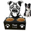 Pet Dog Bowls Novelty Detachable Feeding Bowl Holder Funny Portable Dog Bowls Creative Pet Feeding Bowl for Feeding Dogs Puppies