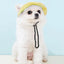 Sun Hat for Dogs Bucket Hat Dog Hat Summer Fishing Hat with Ear Holes Adjustable Dog Visor Wide Brim Hat Pet Hats for Outdoor