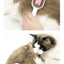 Cats Hair Brushes Grooming Massage Comb Pet Double Sided Hair Remover Brush Dog and Cat Home Accessory cats products for pets