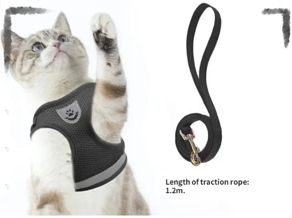 Dog Leash Vest Type Small Dog Walking Dog Leash out Chest Strap Imitation Earning Bracket Set
